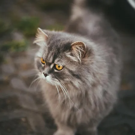 Apartment Natalie Frantiskovy Lazne