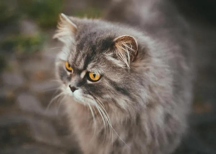 Apartment Natalie Frantiskovy Lazne