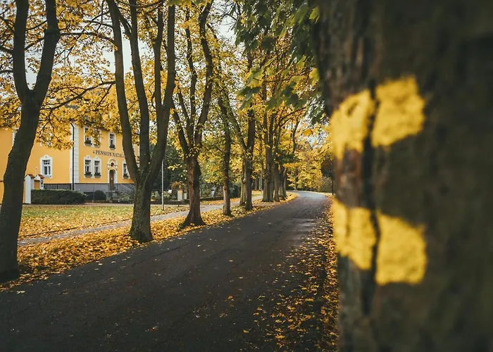 Natalie Františkovy Lázně